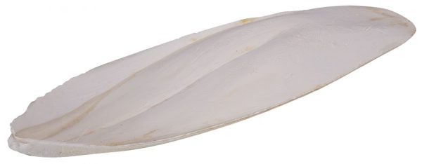Sepiaschalen
