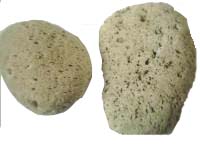 Naturbims